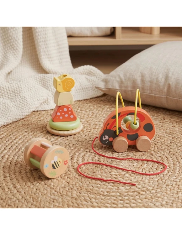 tooky-toy-zestaw-biedronka-do-zabawy-rozwojowej-3w1 (1).jpg
