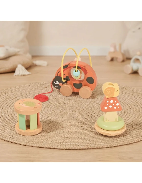 tooky-toy-zestaw-biedronka-do-zabawy-rozwojowej-3w1 (2).jpg