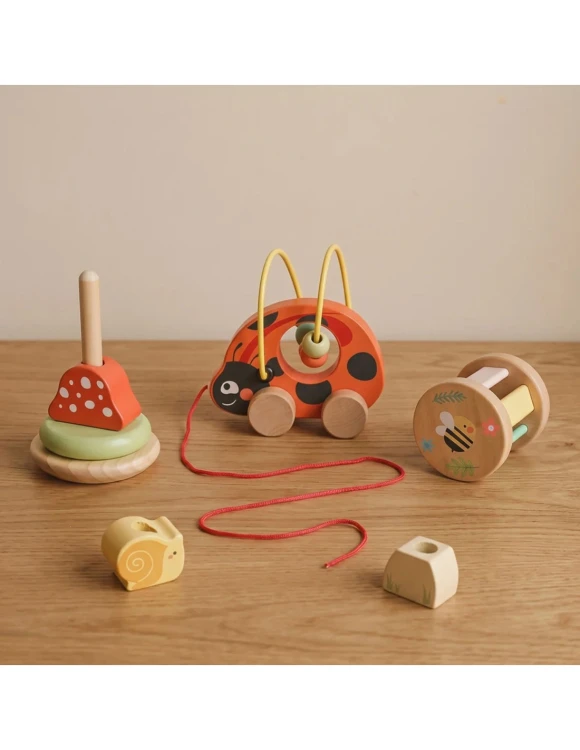 tooky-toy-zestaw-biedronka-do-zabawy-rozwojowej-3w1 (3).jpg