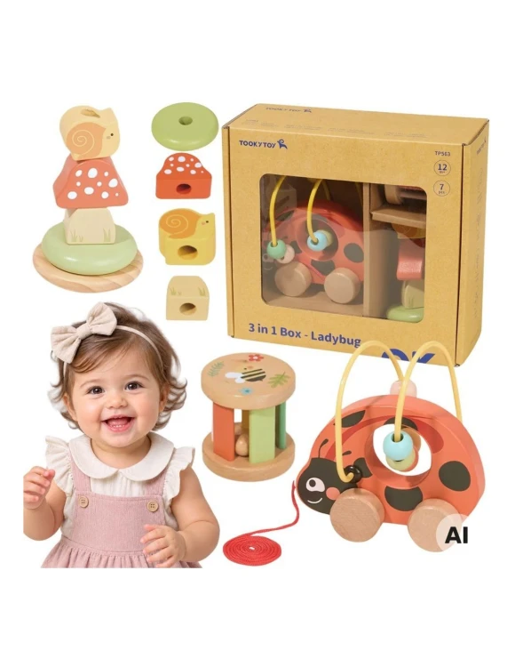 tooky-toy-zestaw-biedronka-do-zabawy-rozwojowej-3w1.jpg