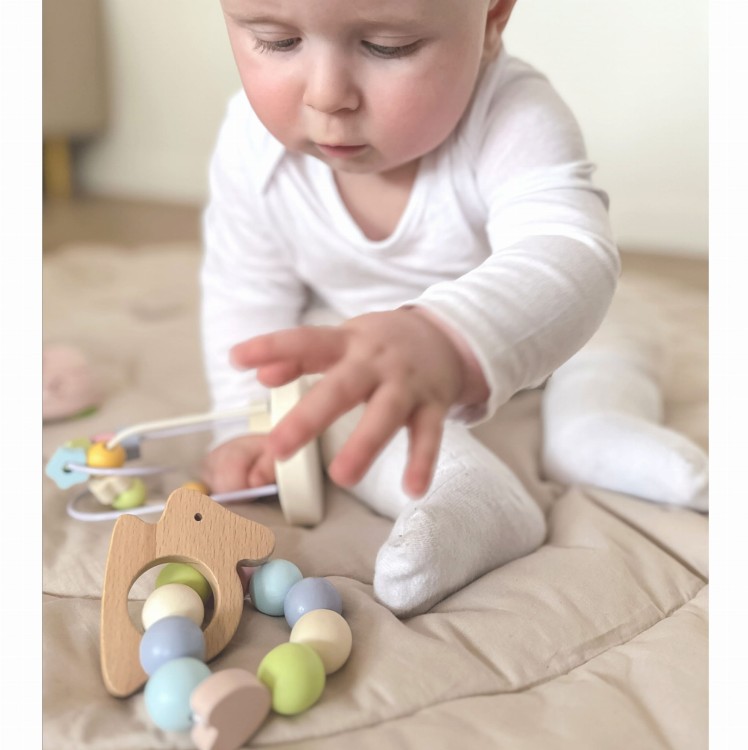 CLASSIC WORLD Pastelowy Zestaw Motoryczny dla Niemowląt Box Pierwsze Zabawki od Urodzenia