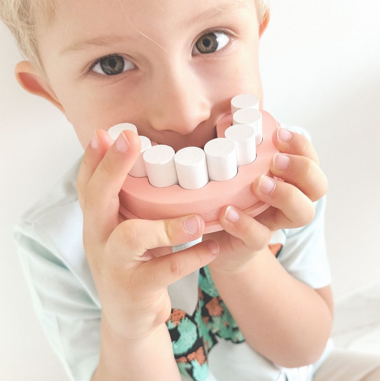 Zestaw Małego Dentysty Walizka Lekarza 19 el. TOOKY TOY