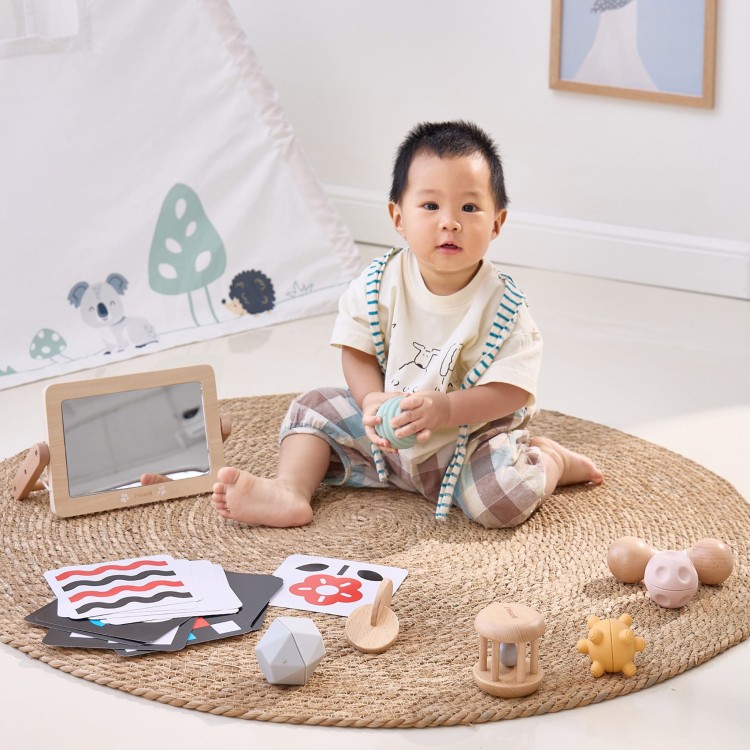 Zestaw Zabawek Edukacyjnych Box od 0 do 6 miesięcy | VIGA