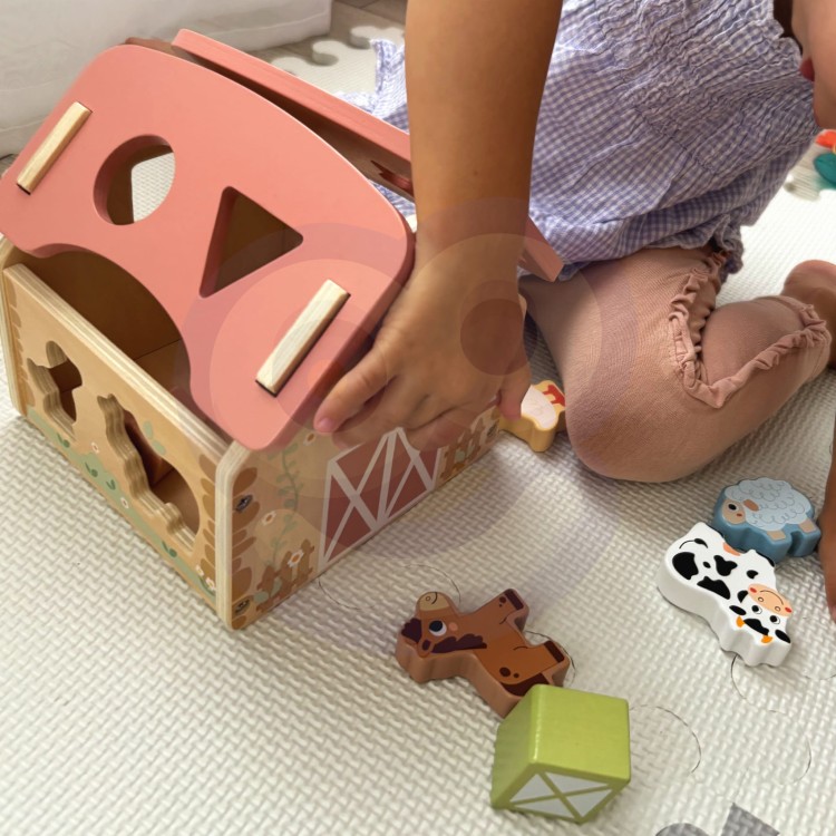 Drewniana Farma Sorter Kształtów i Kolorów 13 el. – WOOPIE GREEN