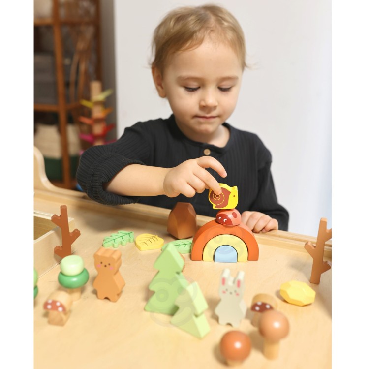 Zestaw Leśny – Układanka w stosy Klocki i Figurki TOOKY TOY