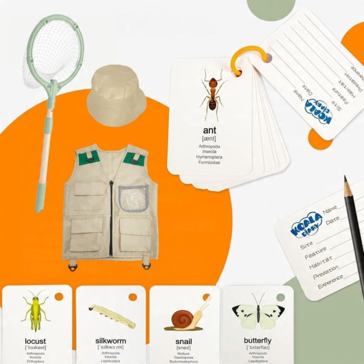 Zestaw Małego Odkrywcy Lornetka Kompas Siatka na Owady Motyle Latarka